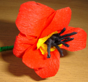 coquelicot