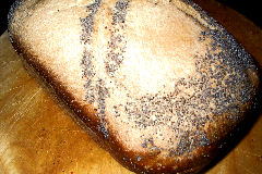 pain au pavot