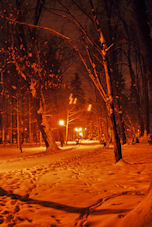 pologne zywiec parc