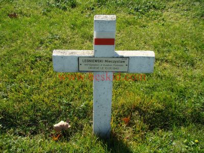 LESNIEWSKI Mieczyslaw
22 ans - célibataire 
Né 09.01.1917 Strupiechow Mazowieckie (PL)
Fils Jozef & Aniela Federowicz
145ème Bataillon Aviation Polonaise
Caporal-Chef - Pilote de chasse
Décès 10.05.1940 Bron (69) 
Lors du bombardement de l'aéroport de Bron 
Estampille D/264
Provenance Lyon-Guillotière 5/3-I-3
Inhumation 26.09.1957 - PV 2247
Carré D - Rang 4 - Tombe 36
MORT POUR LA FRANCE
Copyright Frania
