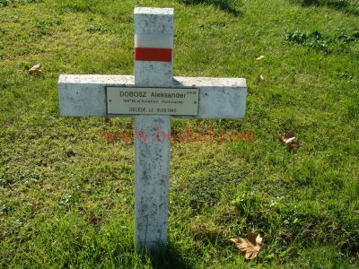 DOBOSZ Aleksander
29 ans - célibataire 
Né 13.05.1914 Checiny Gorzno Mazowieckie (PL)
Décès 10.05.1944 Bron (69) 
Lors du bombardement de l'aéroport de Bron
145ème Bataillon Aviation Polonaise
Radio Mécanicien
Estampille 274/D
Provenance Lyon-Guillotière 5/C3-I-12
Inhumation 30.09.1957 - PV 2242
Carré D - Rang 4 - Tombe 32
Copyright Frania
